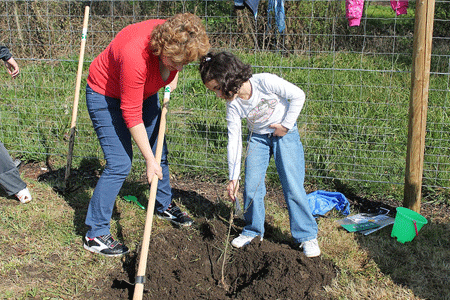 En el huerto ecolgico el Da del rbol. Foto: Senda Nova