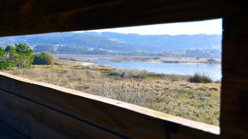 Vista desde el Observatorio de aves de Baldaio