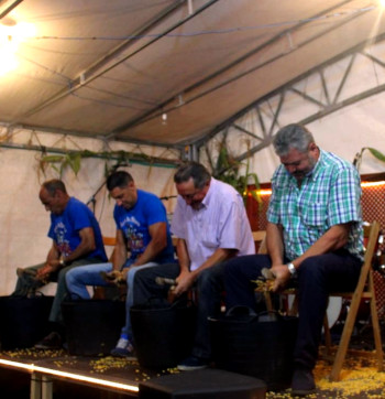 Concurso de 2017/ Foto: Francisco Méndez Concurso de 2017/ Foto: Francisco Méndez