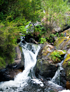 Salto de auga