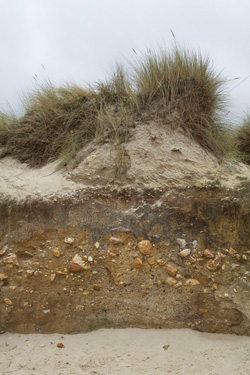 Praia fosil en Razo